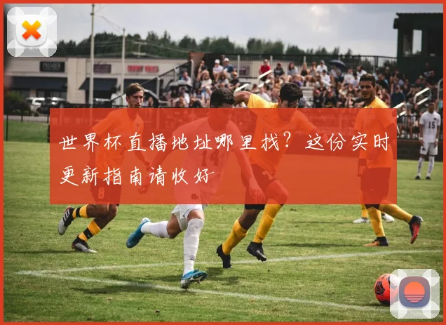 世界杯直播地址哪里找?这份实时更新指南请收好