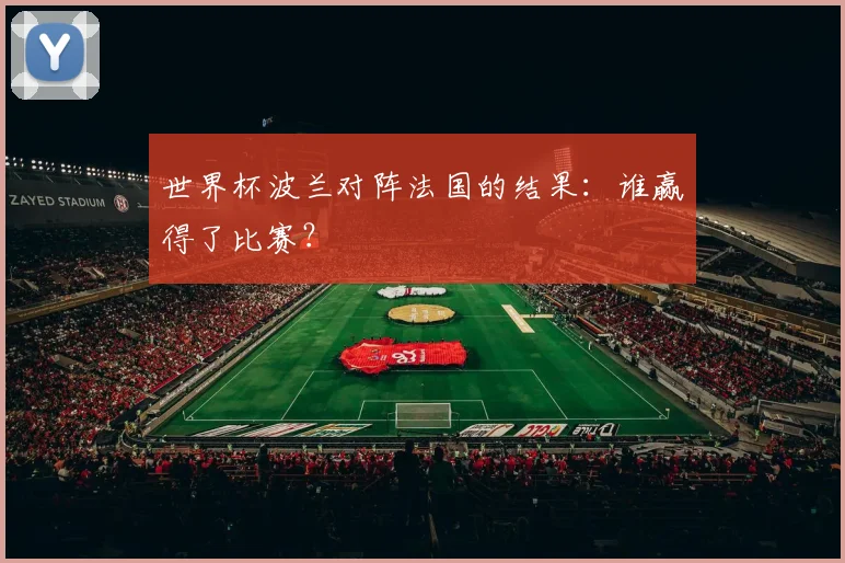 世界杯波兰对阵法国的结果:谁赢得了比赛?