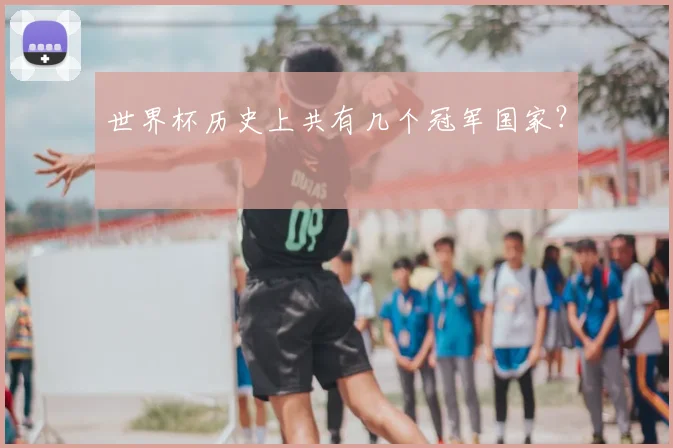 世界杯历史上共有几个冠军国家?