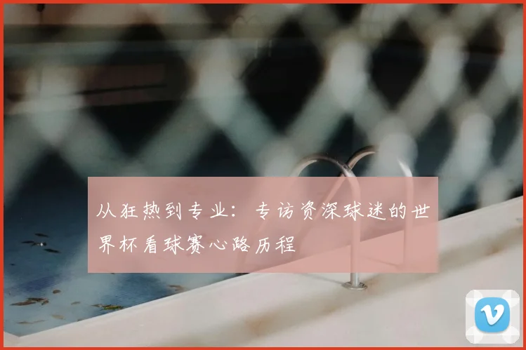 从狂热到专业:专访资深球迷的世界杯看球赛心路历程