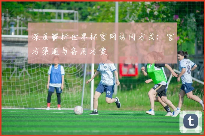 深度解析世界杯官网访问方式：官方渠道与备用方案