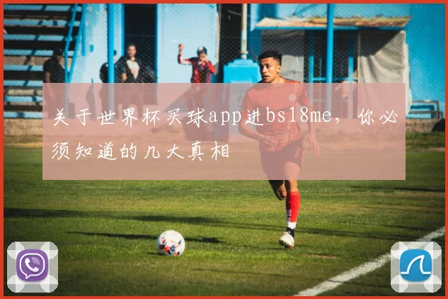 关于世界杯买球app进bs18me,你必须知道的几大真相