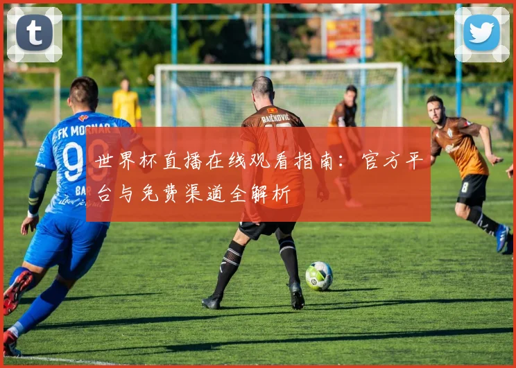 世界杯直播在线观看指南：官方平台与免费渠道全解析