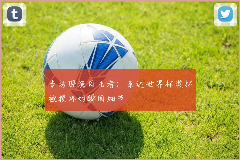 专访现场目击者:亲述世界杯奖杯被损坏的瞬间细节