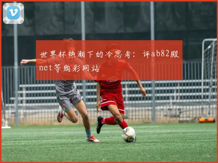 世界杯热潮下的冷思考:评ab82殿net等购彩网站