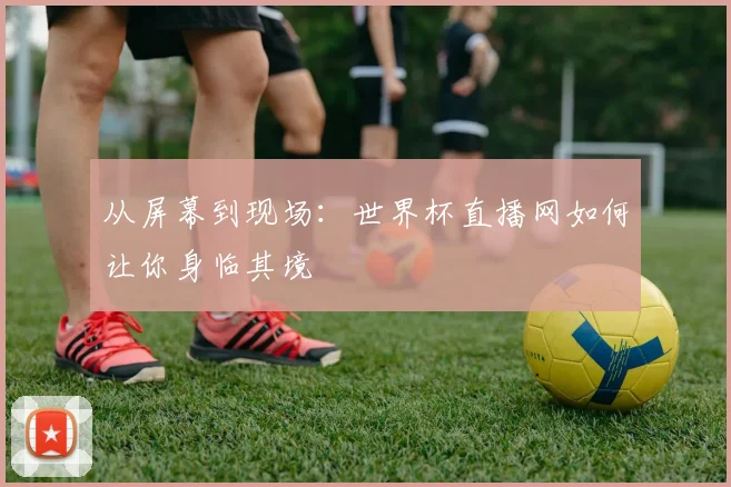 从屏幕到现场：世界杯直播网如何让你身临其境