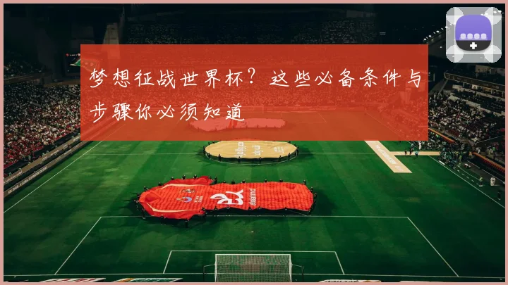 梦想征战世界杯？这些必备条件与步骤你必须知道