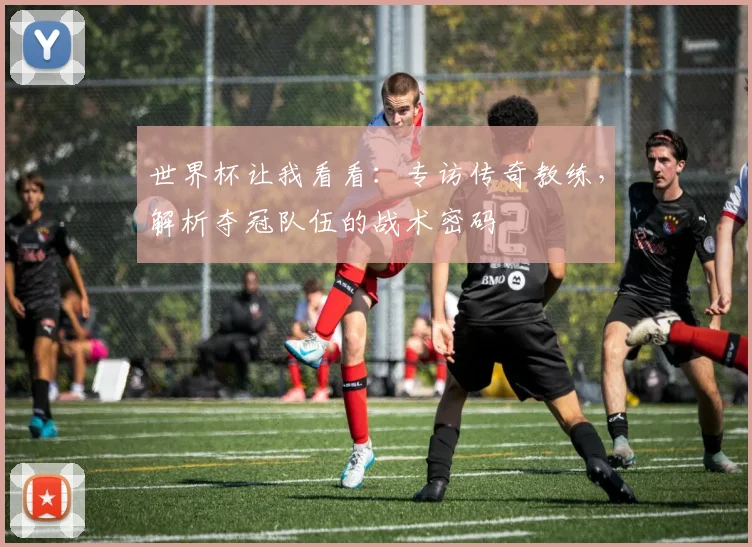 世界杯让我看看：专访传奇教练，解析夺冠队伍的战术密码