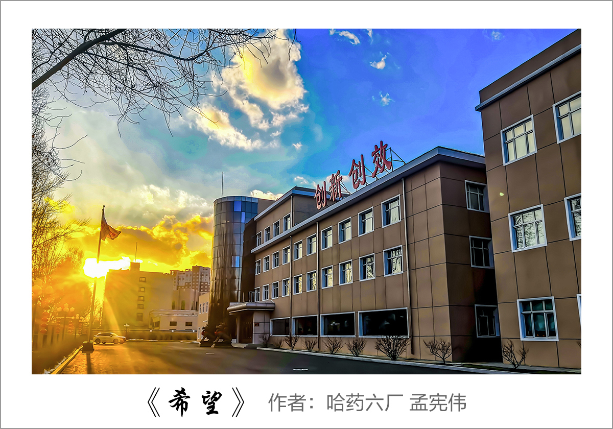 【迎国庆 展风采】我眼中的Stake——职工摄影大赛作品展示！